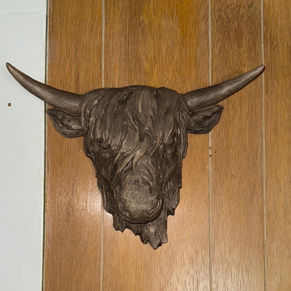 Rustic Brown Bull Head Wall Decor